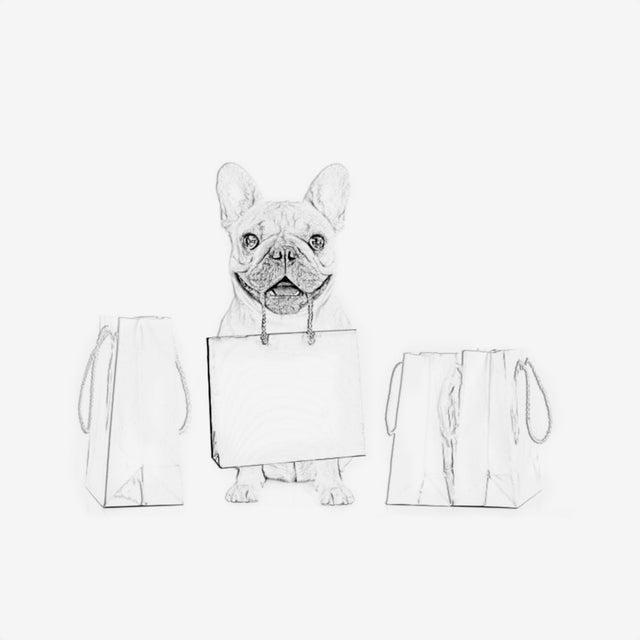 Gear for All Dogs
