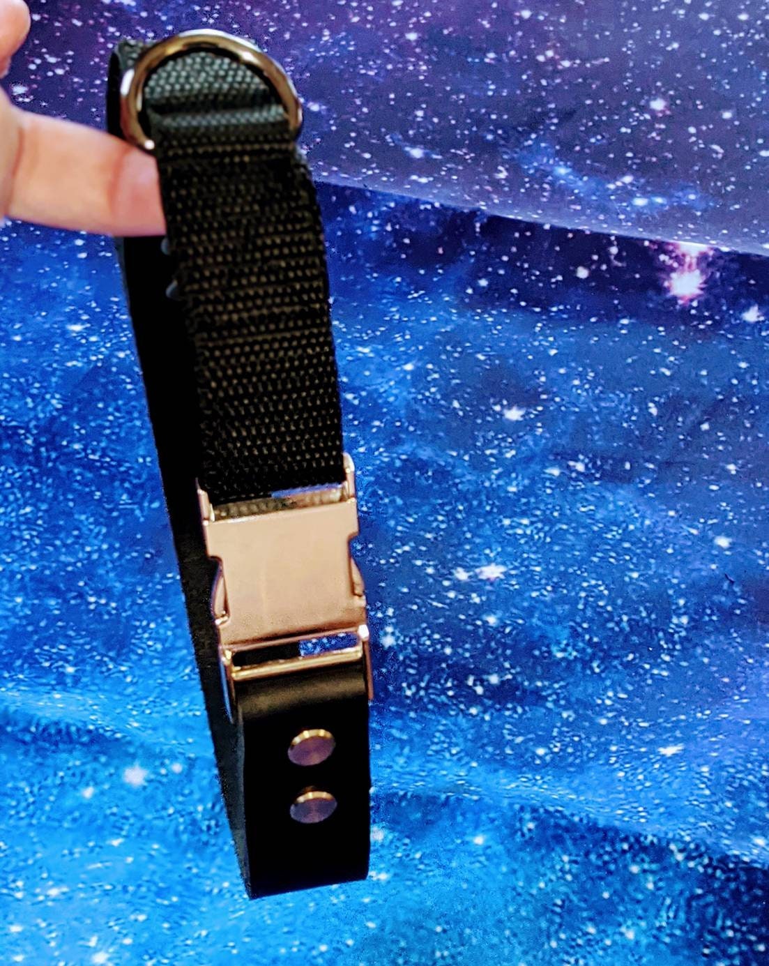 Latigo Leather Dog Collar