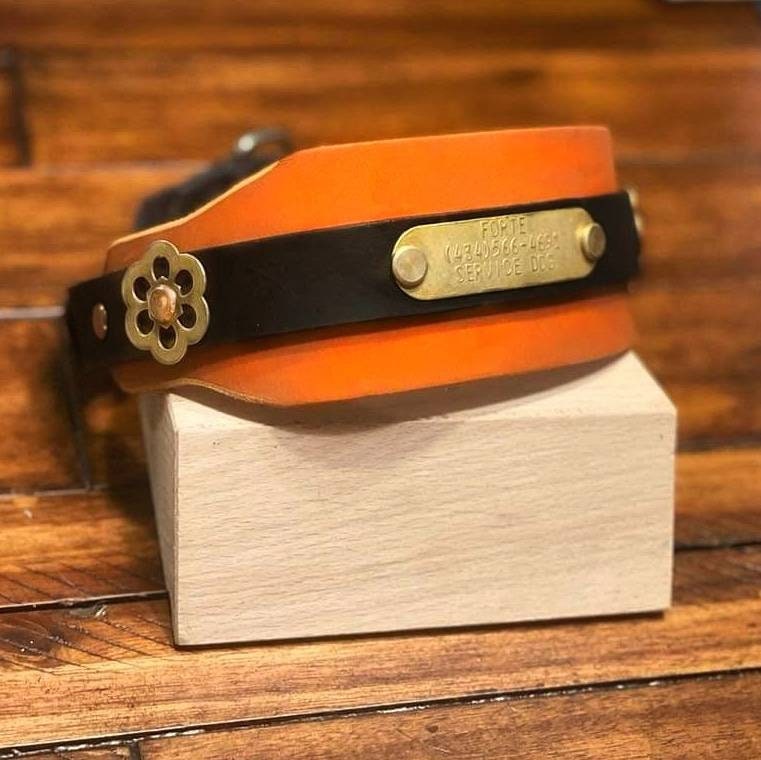 XL Wide Dog Collar