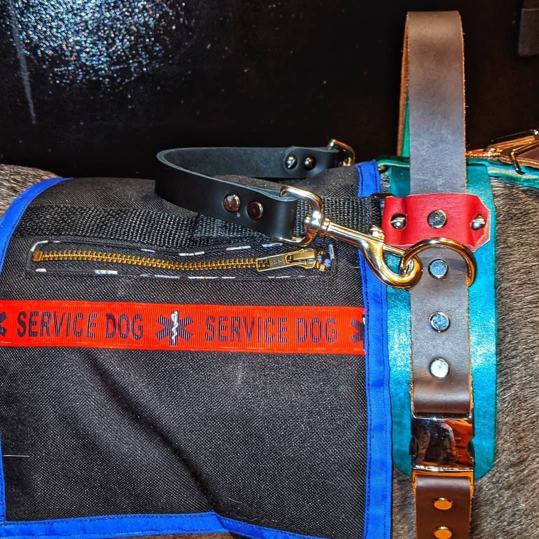 Dog Backpack (removable saddlebags)