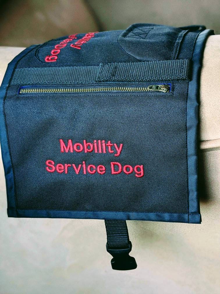 Dog Backpack (removable saddlebags)