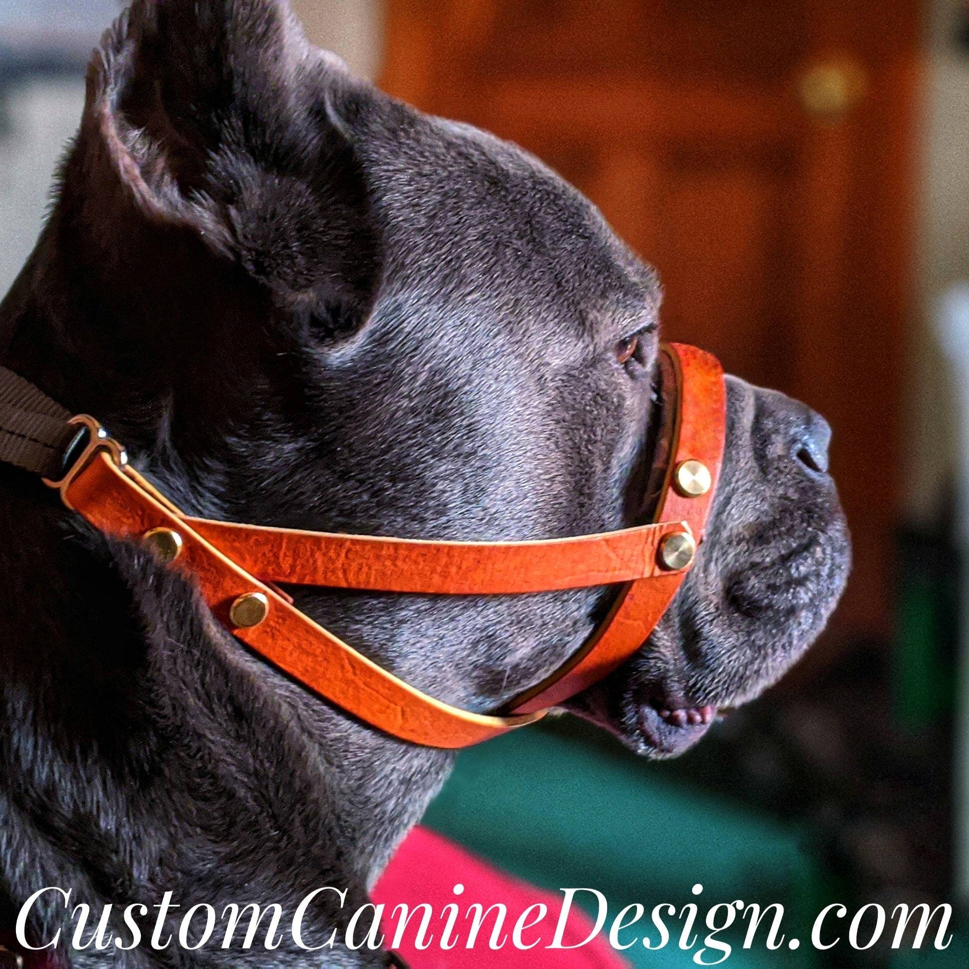 K9 Head Harness