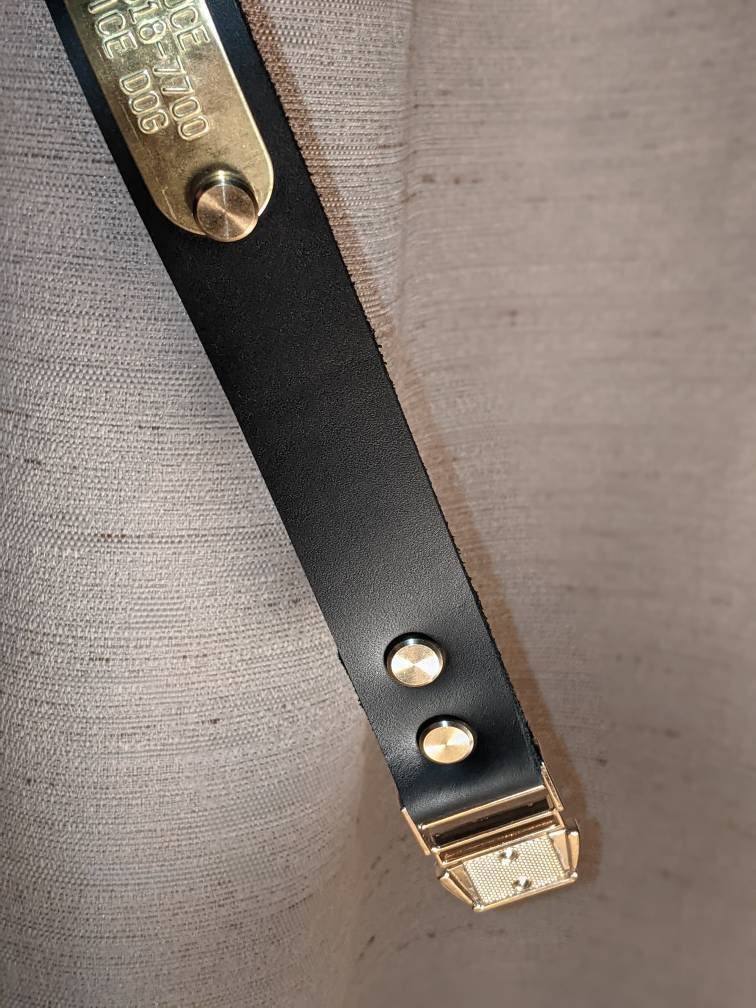 Latigo Leather Dog Collar