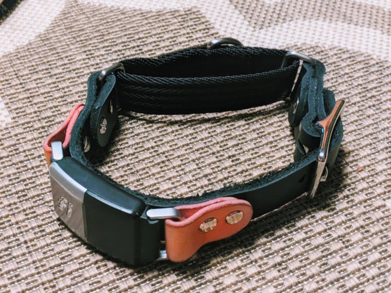 Fi Collar