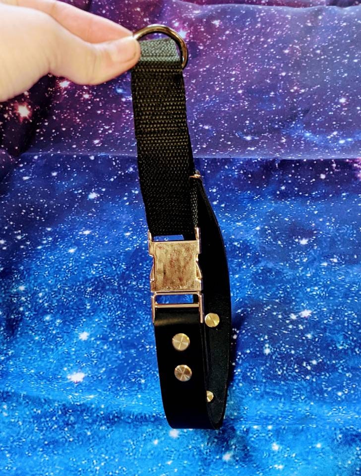 Latigo Leather Dog Collar