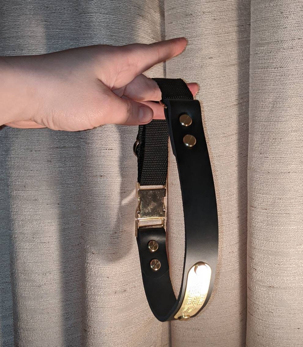 Latigo Leather Dog Collar
