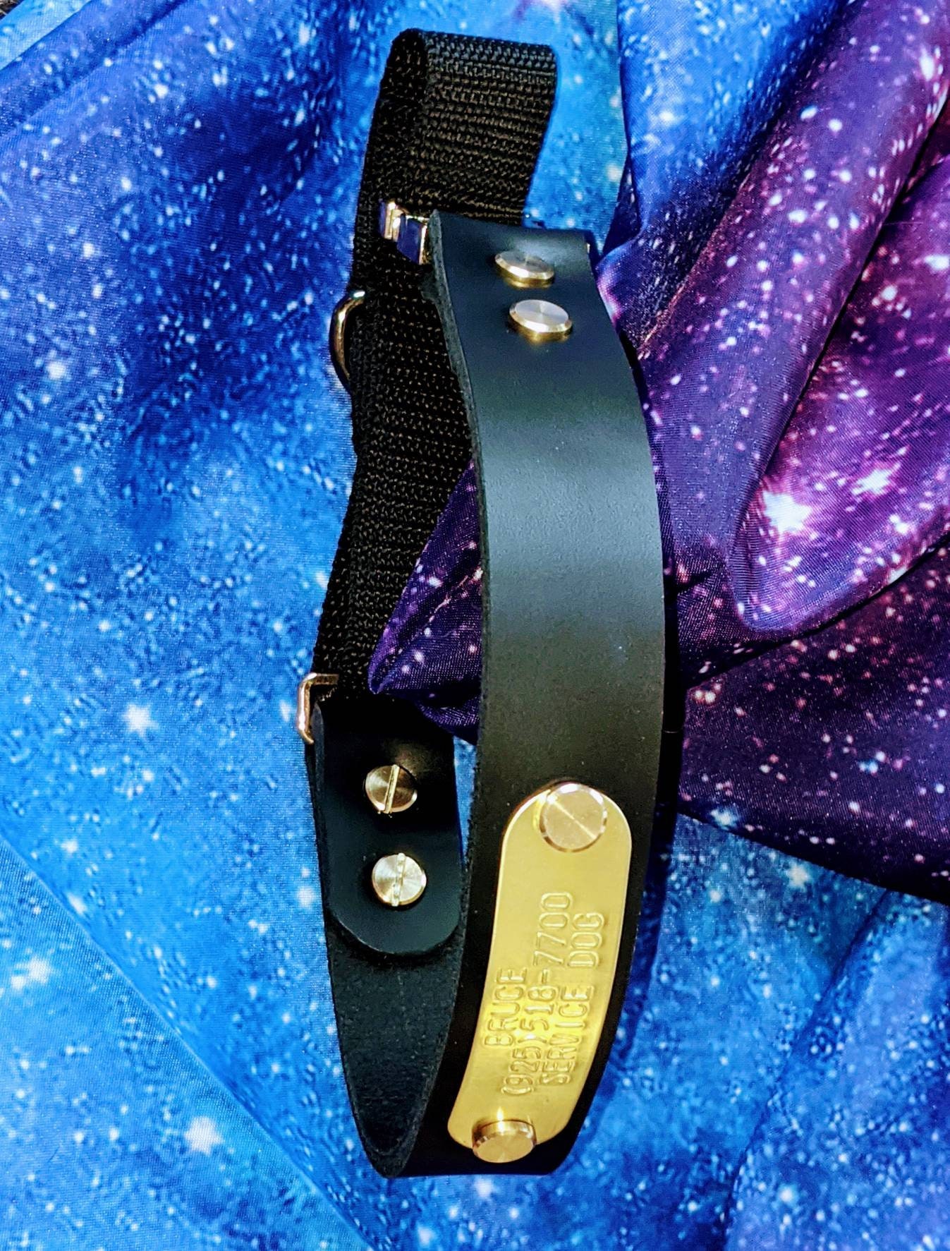 Latigo Leather Dog Collar