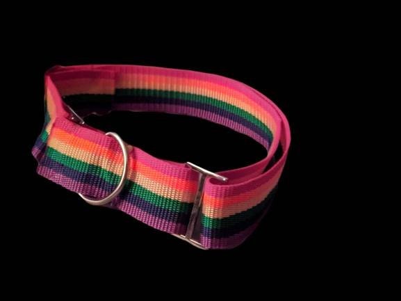 PRIDE Flag Dog Collar Rainbow Martingale