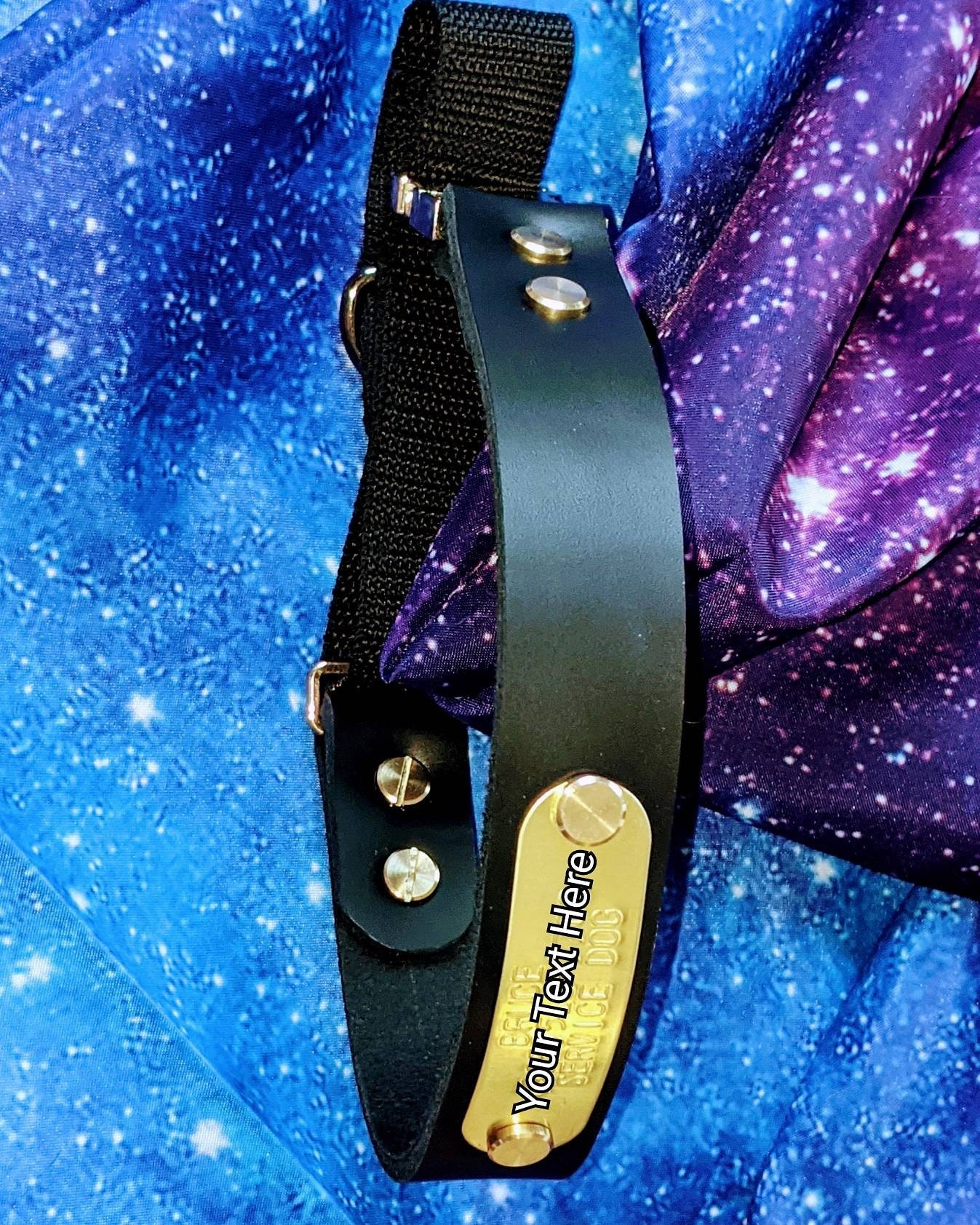 Latigo Leather Dog Collar