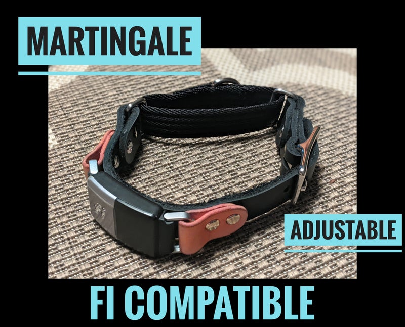 Fi Collar