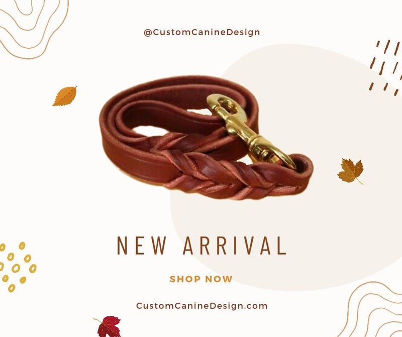 Dog Traffic Leash Burgundy Latigo Leather and Brass Snap