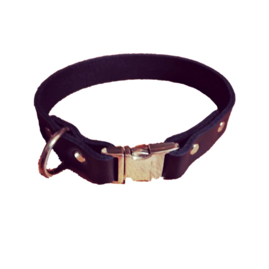 Latigo Leather Dog Collar