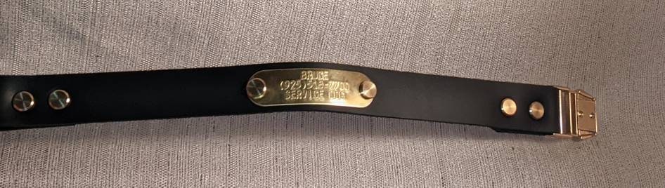 Latigo Leather Dog Collar