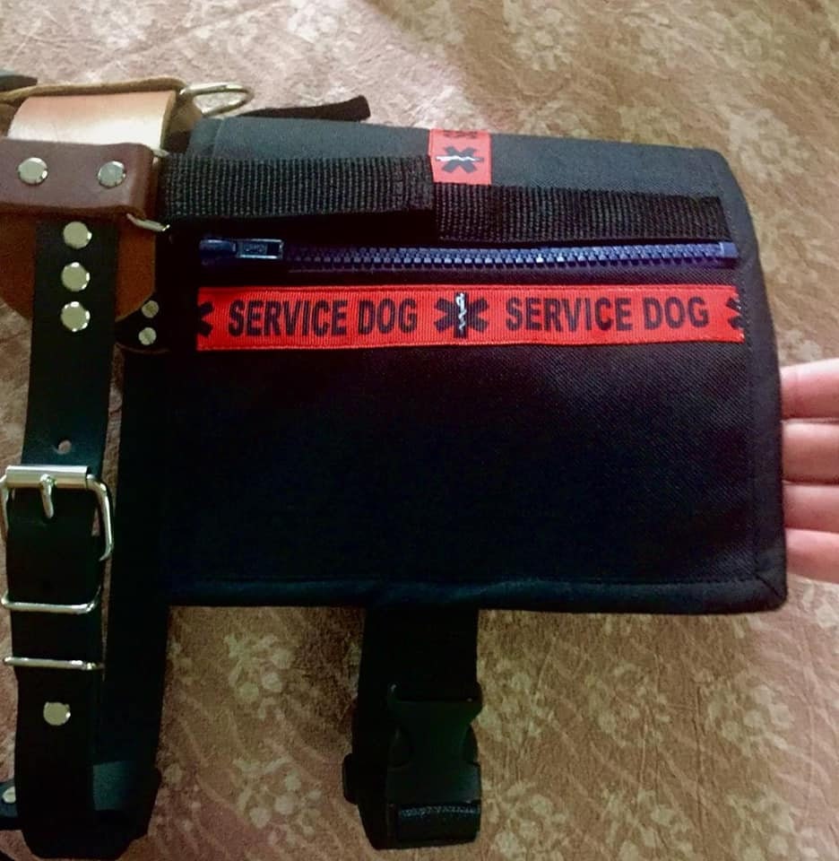 Dog Backpack (removable saddlebags)