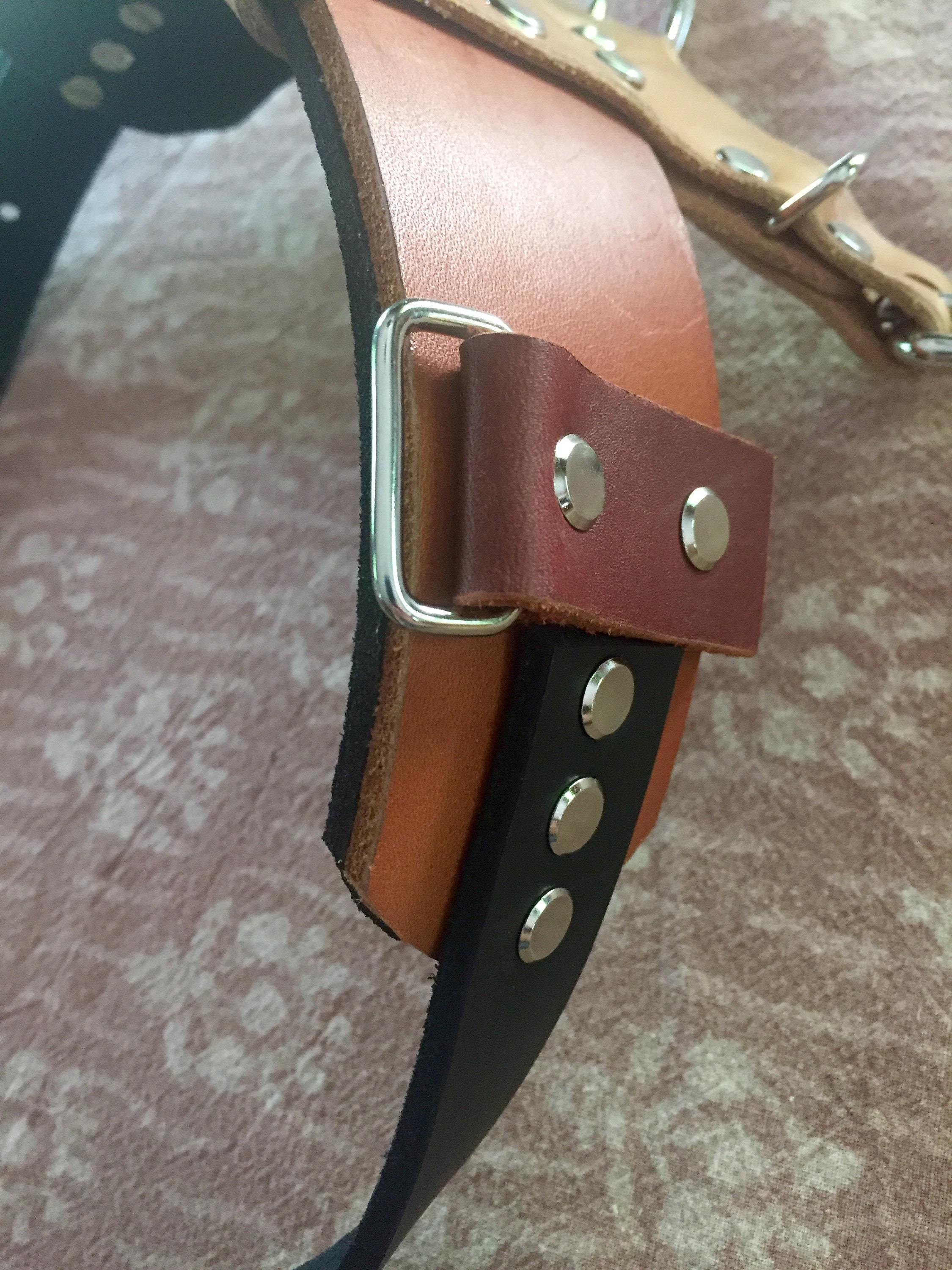 Kinetic K9 Harness