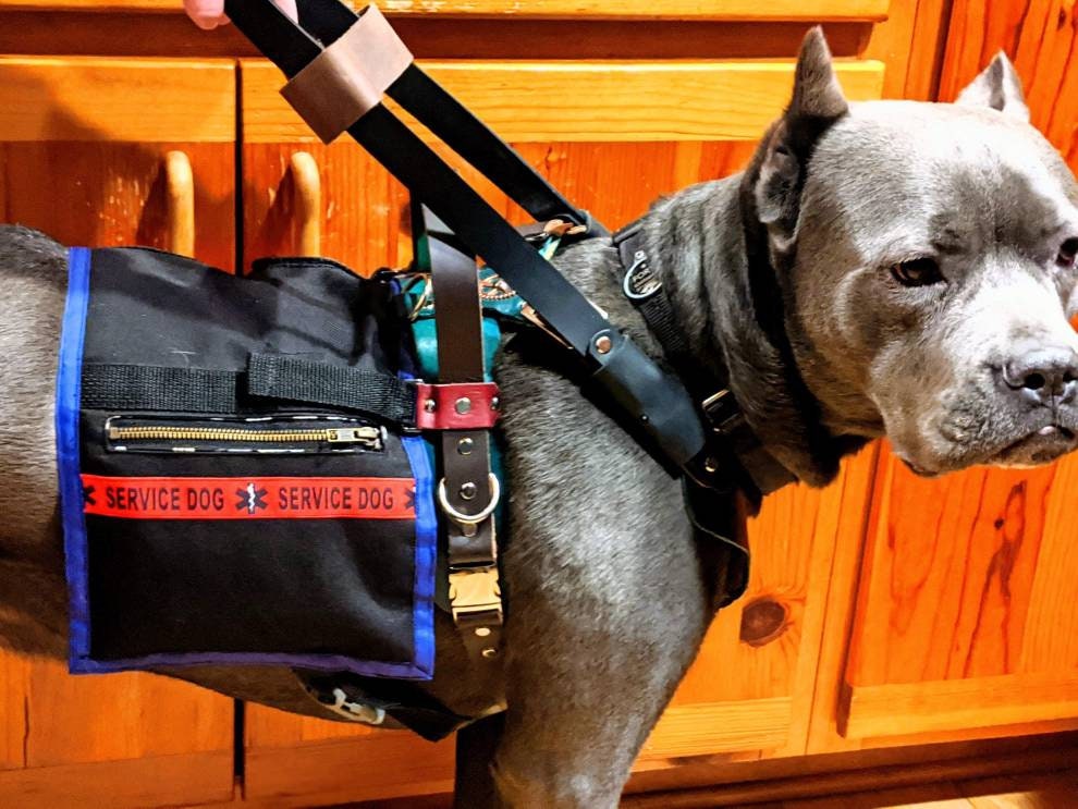 Dog Backpack (removable saddlebags)