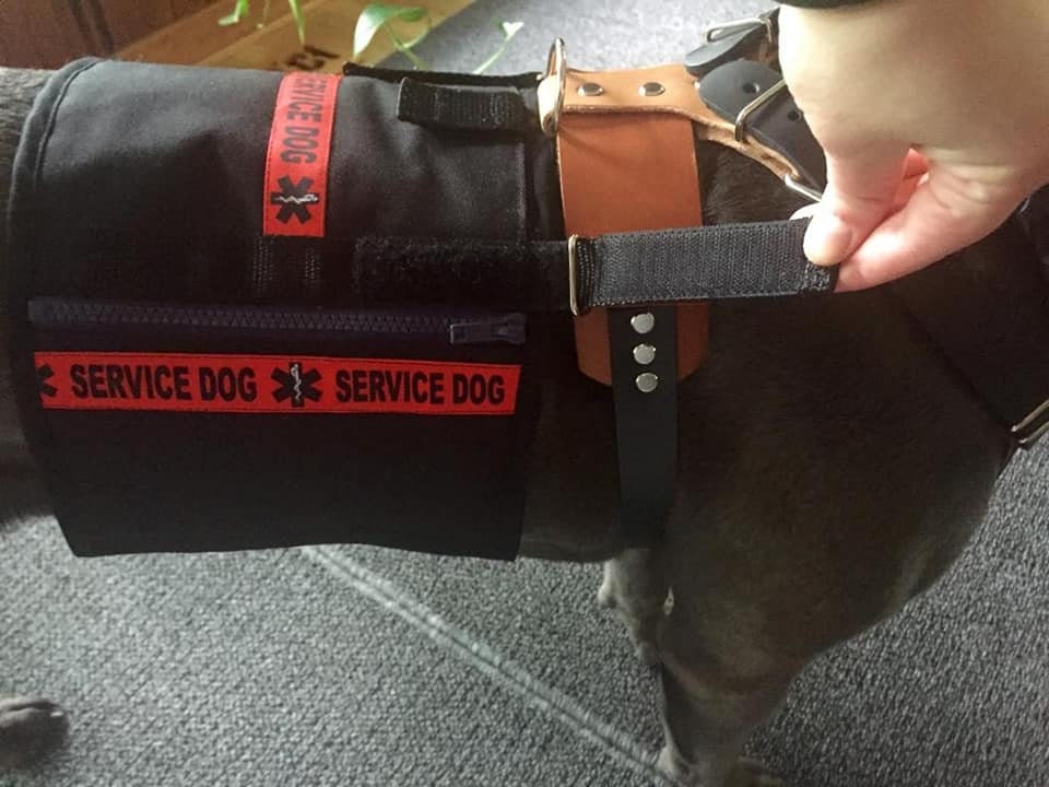 Kinetic K9 Harness